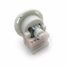 Сливной насос Copreci 30W без улитки, 4 защелки по кругу, фишка вперед Bosch, Siemens 215914