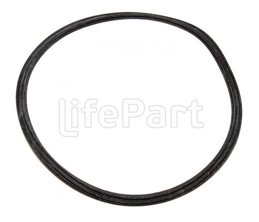 Уплотнитель улитки помпы Electrolux 4055165239